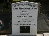 image number 208 James Montgomery Cant